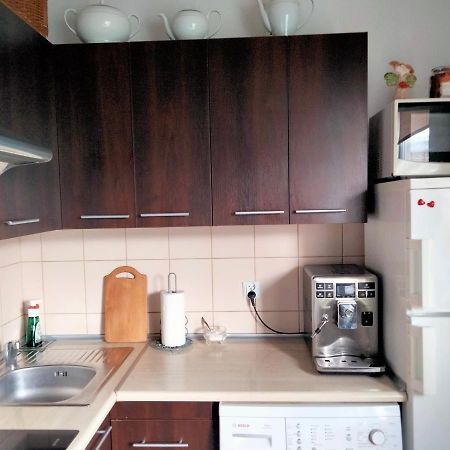 Cicha Kawalerka W Samym Centrum Częstochowa Extérieur photo